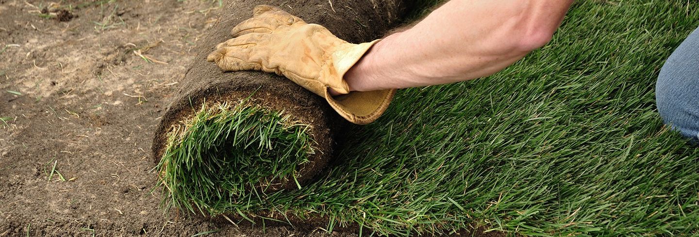 2021-sod-installation-cost-sod-pricing-per-square-foot