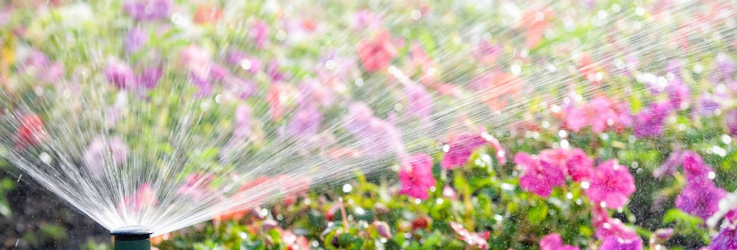 The 10 Best Sprinkler Repair Services Near Me (with Free ...