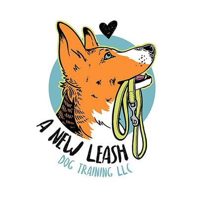 A New Leash Dog Training, LLC - Minneapolis, MN