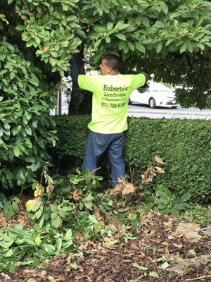 Roberto S Landscape Maintenance Llc Mcminnville Or