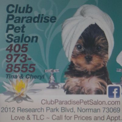 pet groomers near me prices