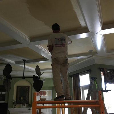 Florida Superior Painting Llc Tampa Fl