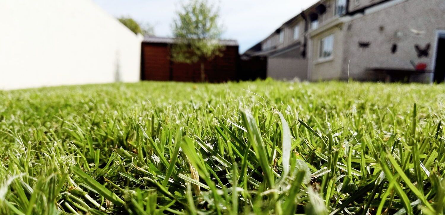 lawn-aeration-suburban-home-green-grass